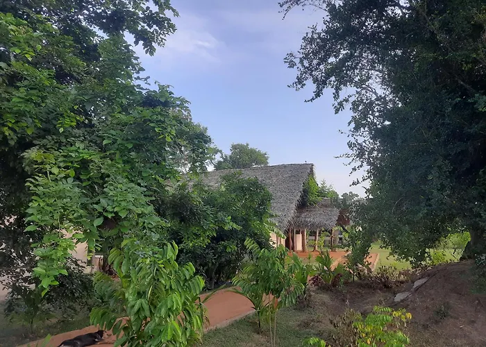 Nirvaan Safari Lodge