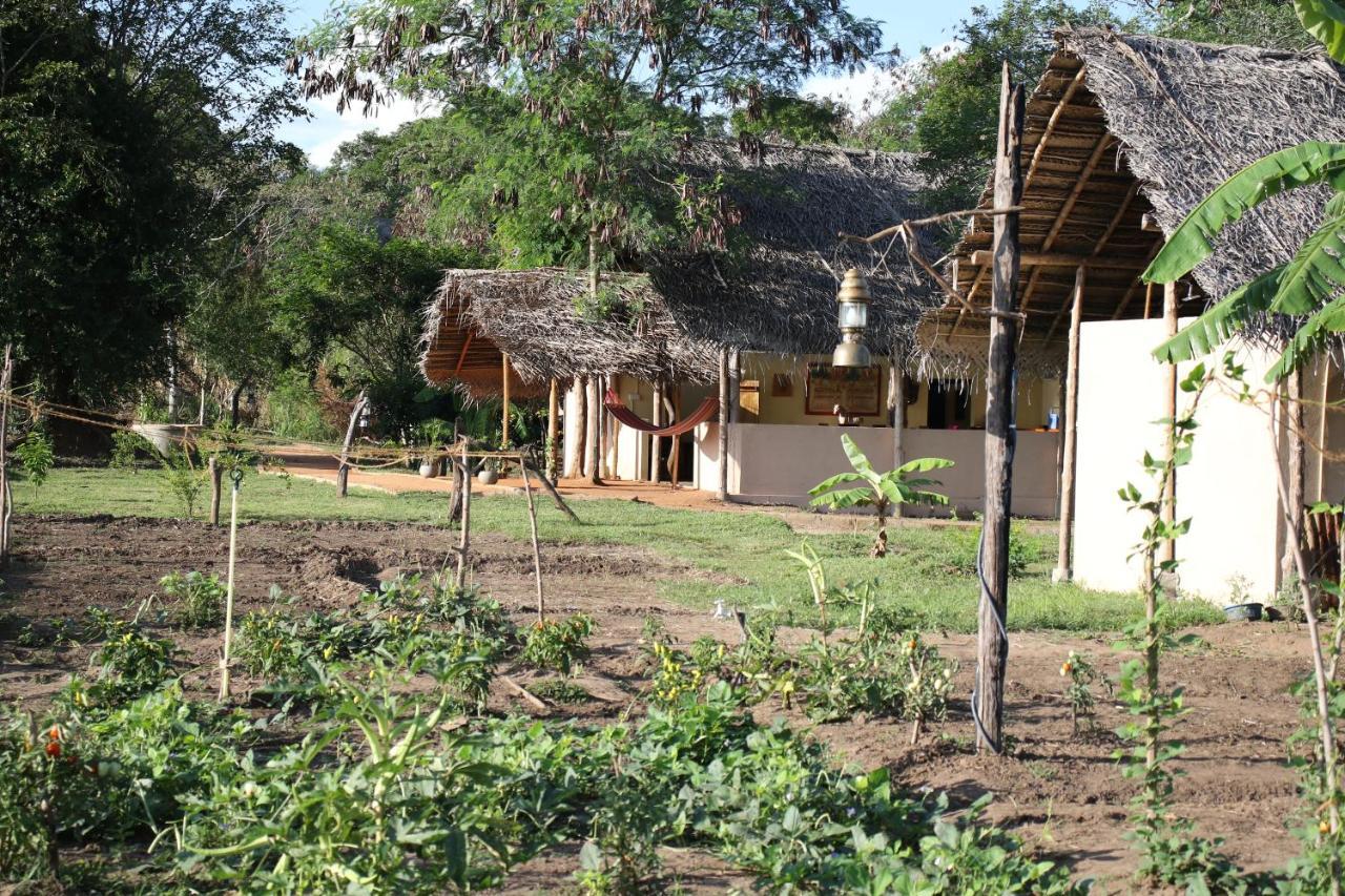 Nirvaan Safari Lodge