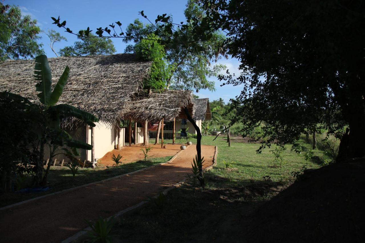 Nirvaan Safari Wilpattu Nationalpark