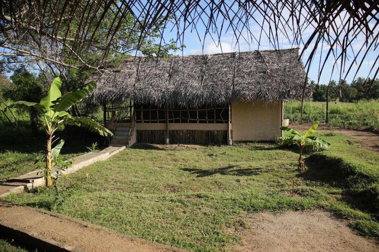 Lodge Nirvaan Safari