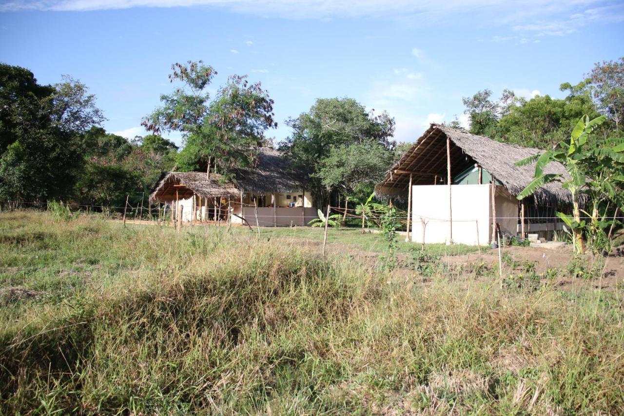 Lodge Nirvaan Safari Wilpattu Nationalpark
