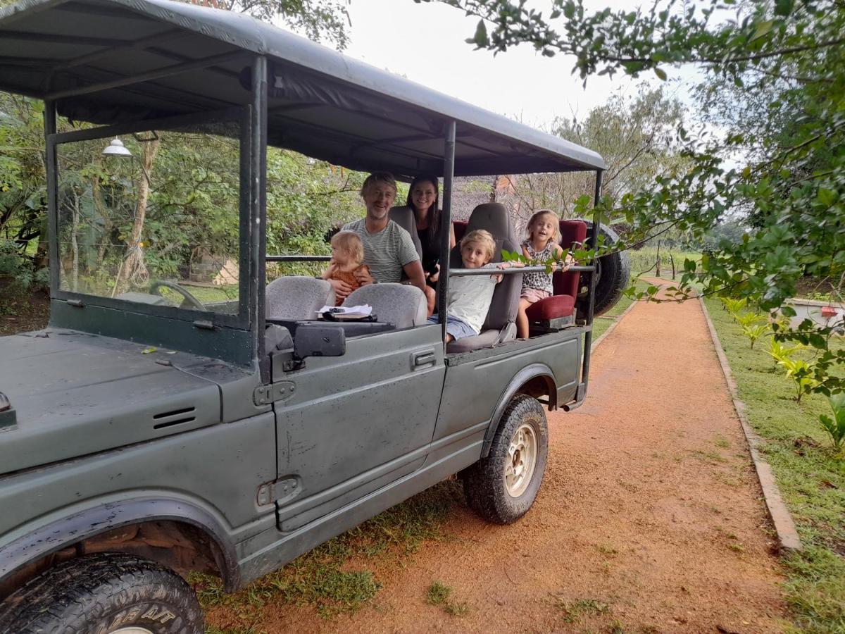 Lodge Nirvaan Safari Wilpattu Nationalpark