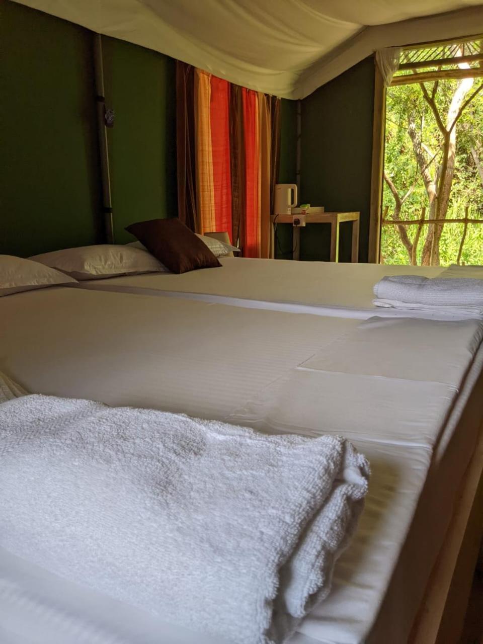 Lodge Nirvaan Safari Wilpattu Nationalpark