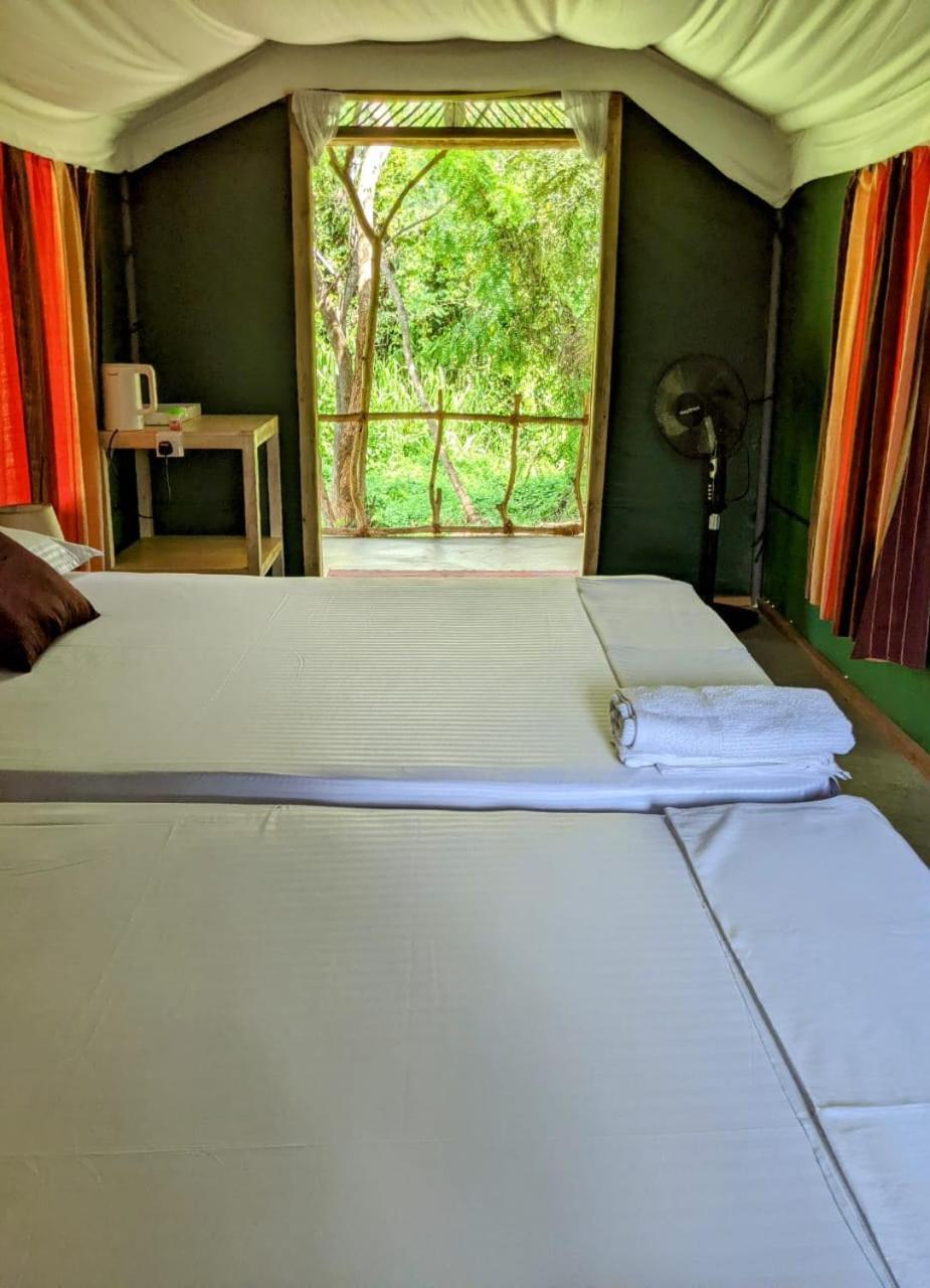Lodge Nirvaan Safari Wilpattu Nationalpark