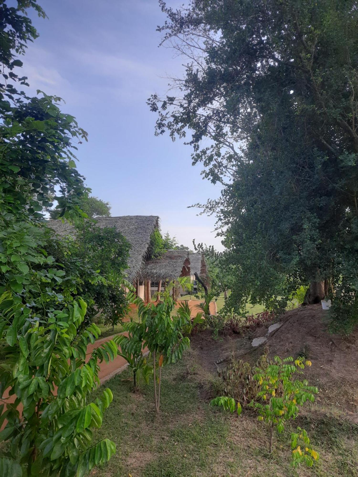 Nirvaan Safari Lodge *